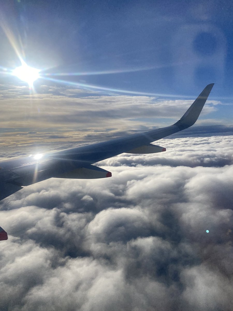 trischababe's tweet image. 