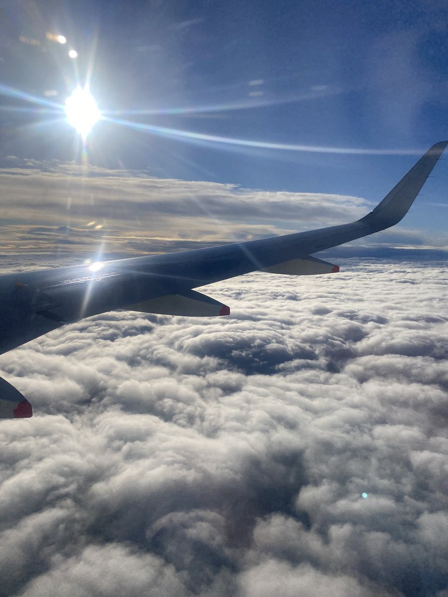 trischababe's tweet image. 