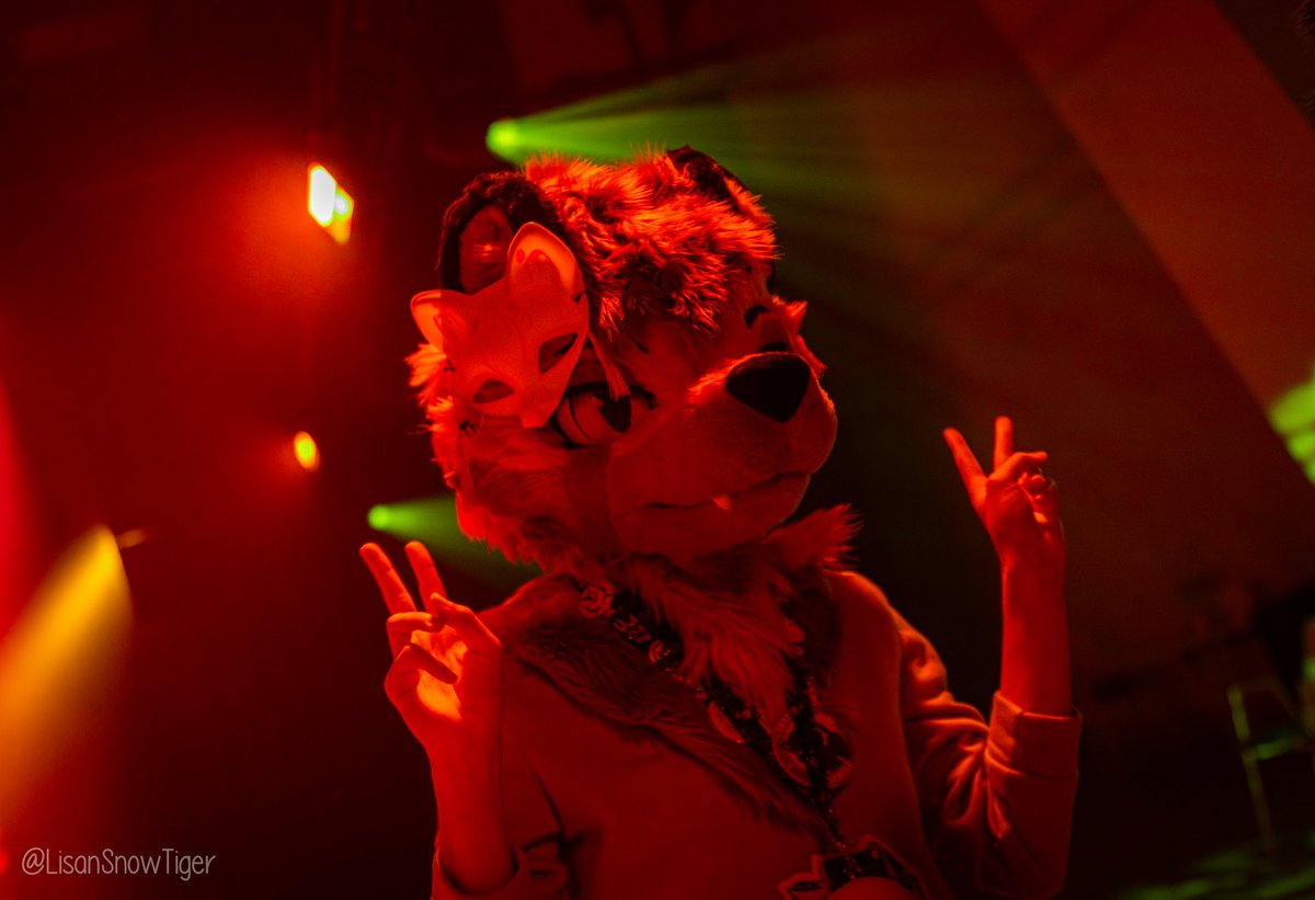 The atmosphere is red, but we're just dancing ;3

💃🦝💃 

📸: <a href="/LisanSnowTiger/">Lisan 🔜 NFC 🇸🇪</a> 

#FursuitFriday