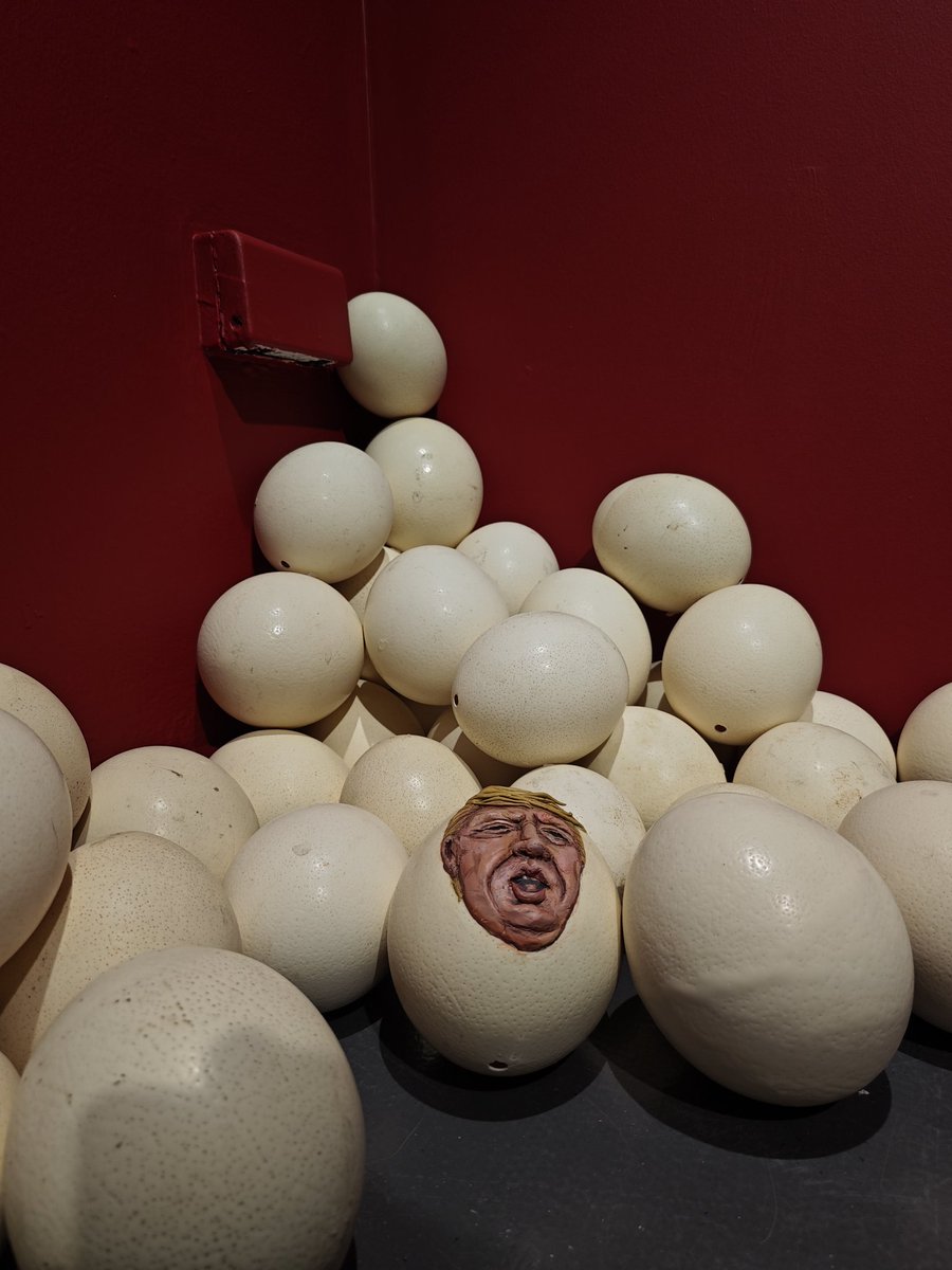 chrisbu03352910's tweet image. #AlphabetChallenge #WeekVforVowels
Ostrich Eggs And An Unwanted Obnoxious Orange Arse...
📸