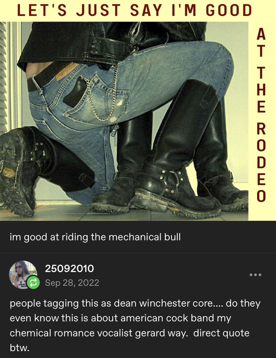 one of my Favorite Tumblr Phenomena is when a mcr fan posts something like this… then people are in the tags mentioning random characters and op has to go and say “guys waitwaitwait this is about gerard way… Please tell me you know that”