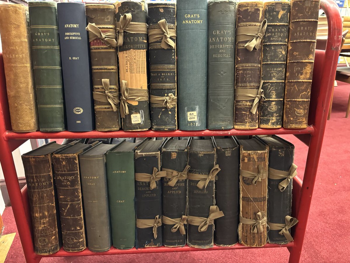 Tim Mitchell tweet media