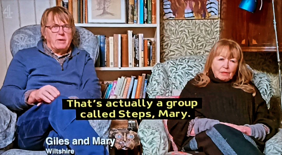 WhosThatGav's tweet image. Poor old Steps. #gogglebox 📺