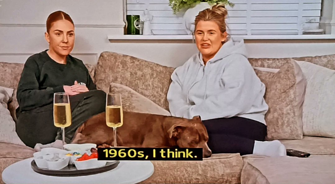 WhosThatGav's tweet image. Poor old Steps. #gogglebox 📺