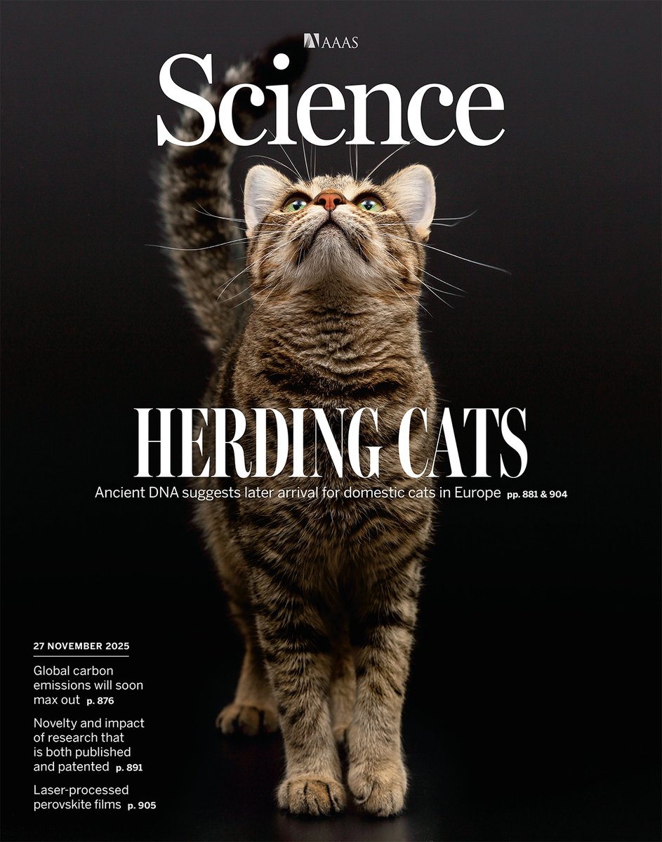 🚨 NEW pub in <a href="/ScienceMagazine/">Science Magazine</a> !!! 🚨

🐈‍⬛🐈 The dispersal of domestic cats from North Africa to Europe around 2,000 years ago 🐈‍⬛🐈

Our article provides novel evidence suggesting new hypotheses about the history of domestic cats! 🧬