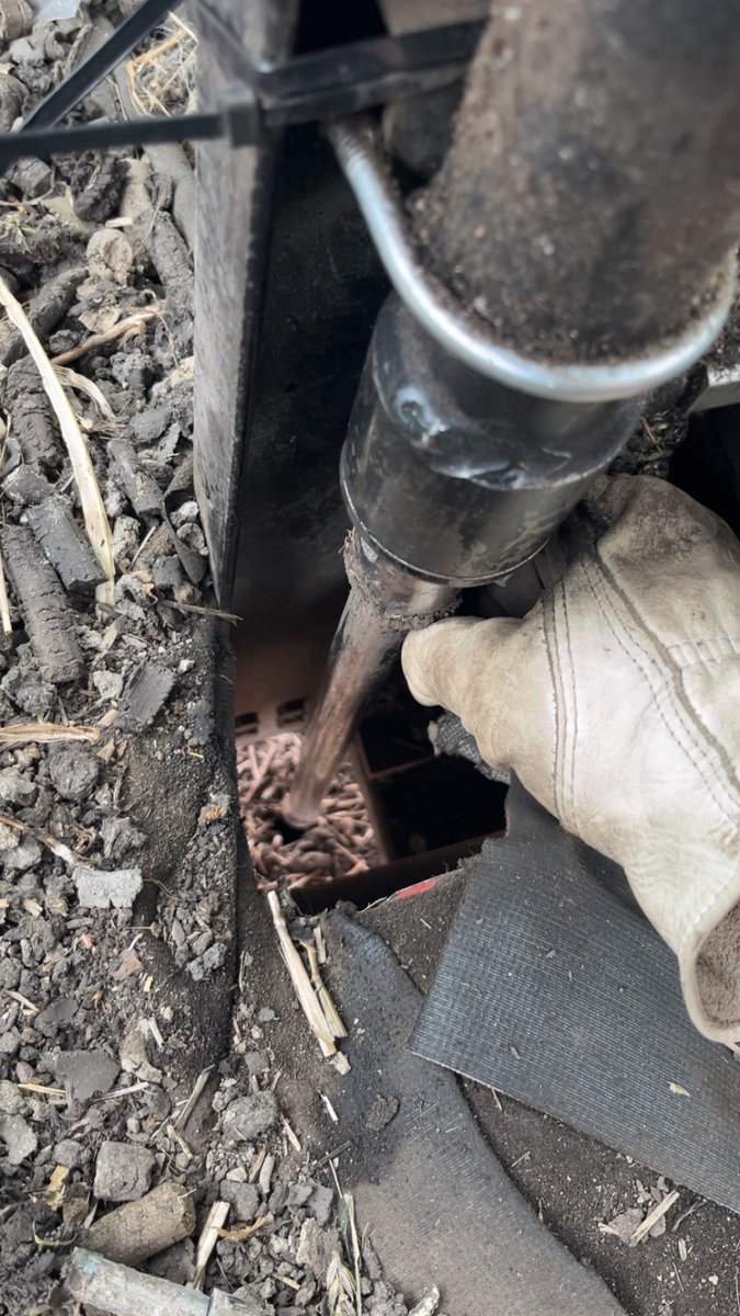 RocknRollAgrnmy's tweet image. HRSW: 2025 yields averaged upper-70's to mid 80's. Protein 13.7-14.2%. Nitrogen in 2-foot range of 79-116 lbs/A range on certain fields before Sept 10. D0-D1 drought most of summer. Then 10-12" of rain Sept 10-Oct 22. #soilsampling 

Retesting those fields. (Soil temps)