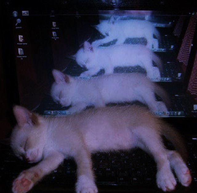 hakaelll's tweet image. 