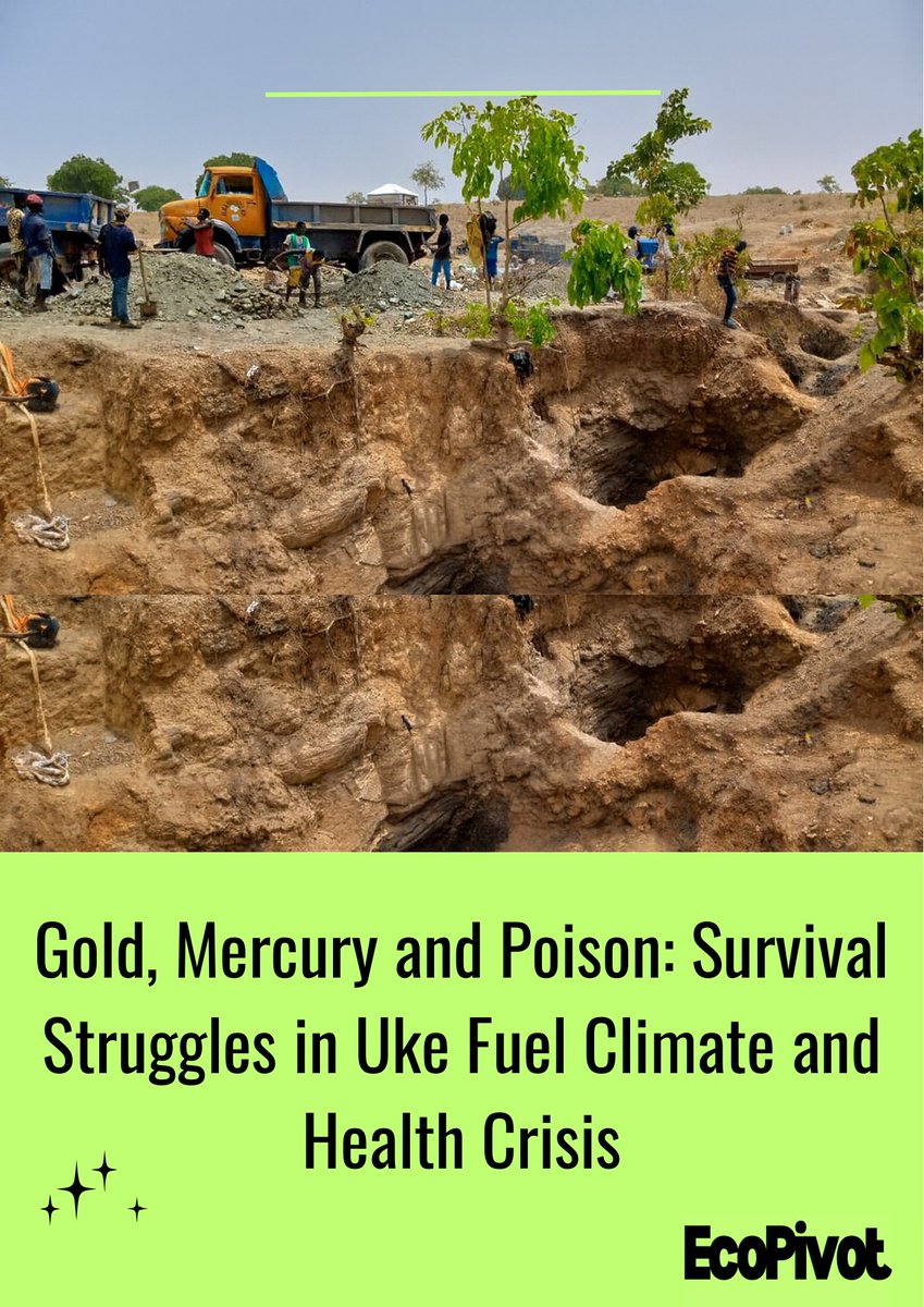 OUT SOON: The gold rush in north-central Nigeria has escalated into a health and climate crisis, with thousands of artisanal miners exposed daily to mercury vapour. This urgent story will be published soon on EcoPivot.