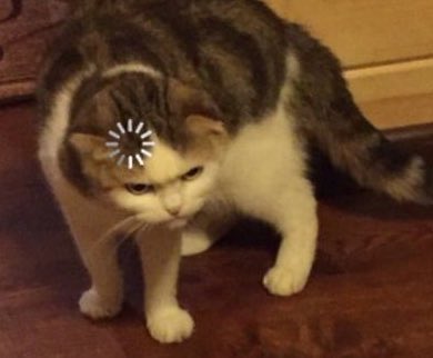 r4j0x's tweet image. 