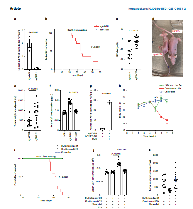 Toni Choueiri, MD tweet media