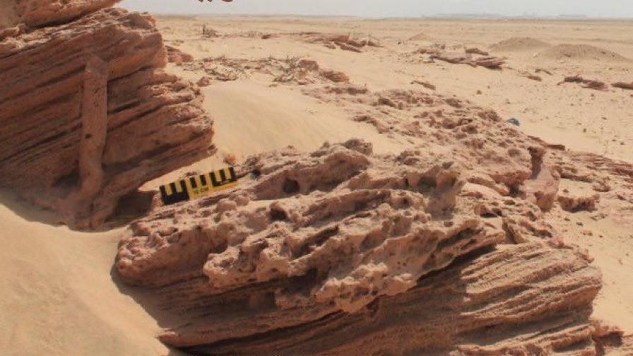 #جيو_بارك.. أول حديقة جيولوجية في #الكويت

- خطوة كويتية نحو السياحة العلمية والجيولوجيا العالمية

- يتم افتتاحها رسميًا في نهاية ديسمبر 2025
#الكويت