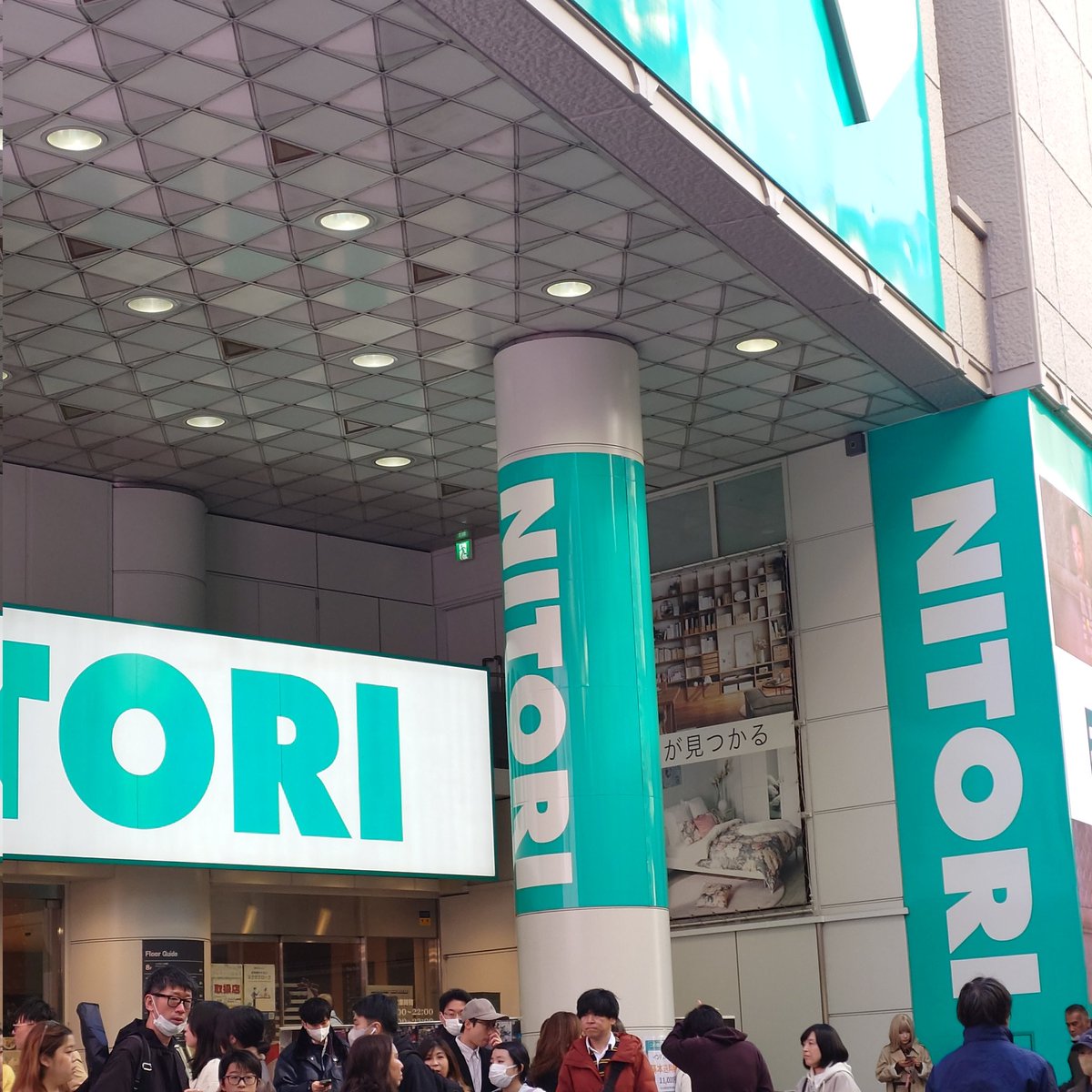 knpppp's tweet image. デカすぎて映りきらんニトリ