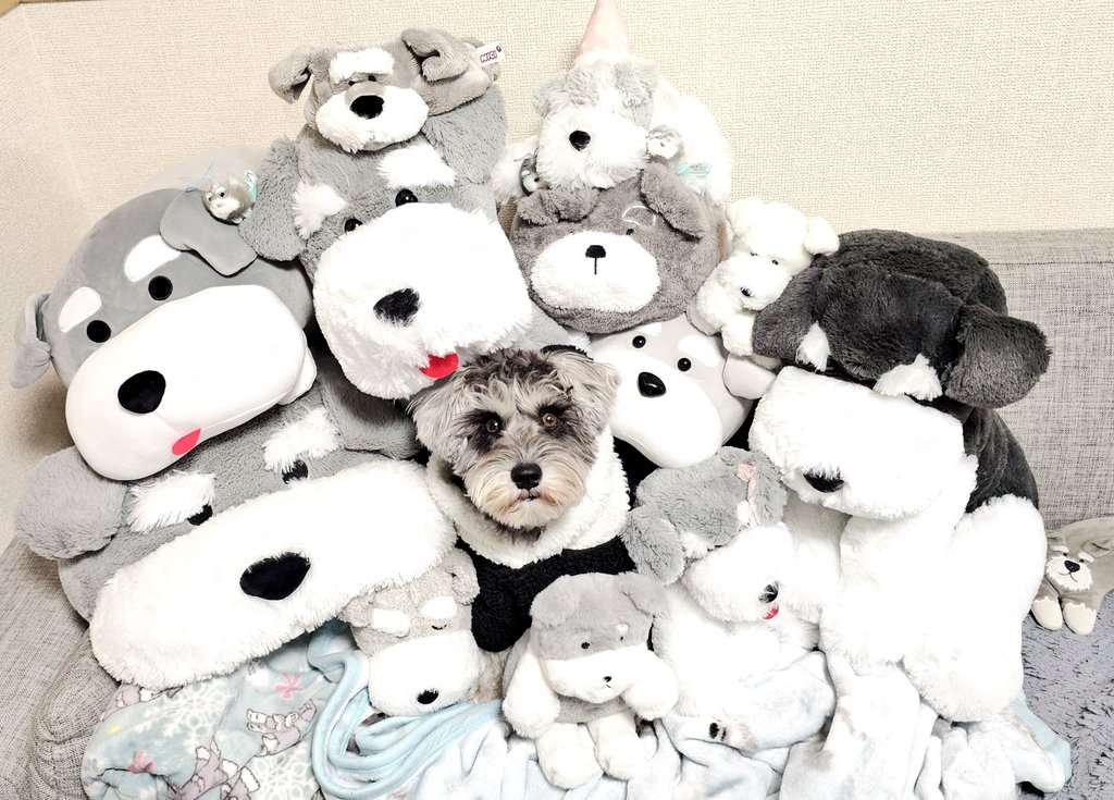 Mill_U._.U tweet media