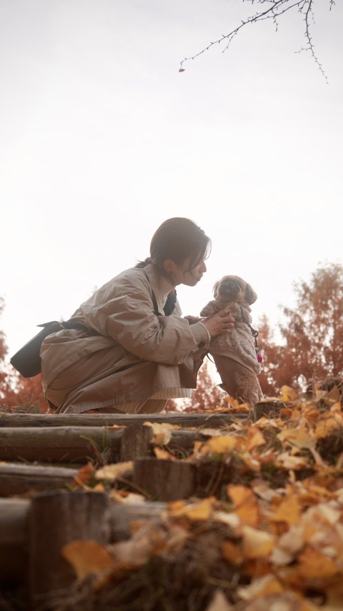 佐藤照雄 (@teruosatou) / Posts / X