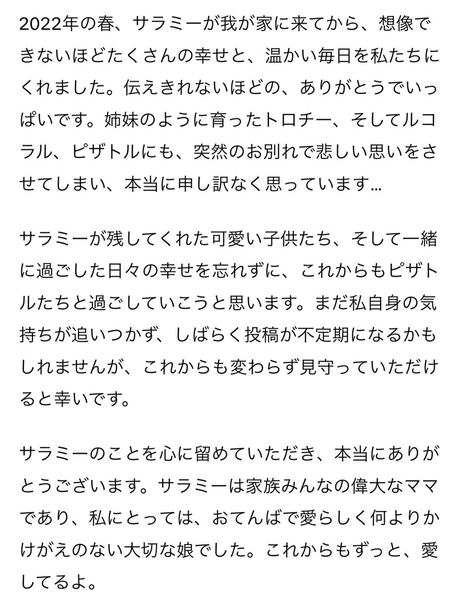 Pizzatoru_JP's tweet photo. いつもピザトル一家を見守ってくださりありがとうございます。サラミーを愛してくださった皆さま、ご報告が遅くなってしまい申し訳ありません。 https://t.co/hvE6di69LY