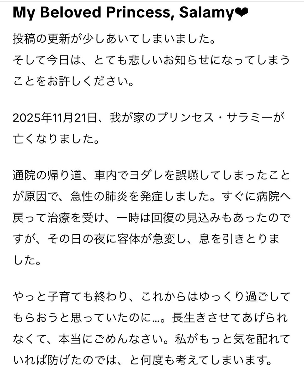 Pizzatoru_JP's tweet photo. いつもピザトル一家を見守ってくださりありがとうございます。サラミーを愛してくださった皆さま、ご報告が遅くなってしまい申し訳ありません。 https://t.co/hvE6di69LY