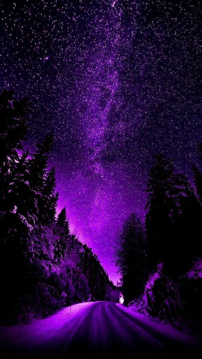 Aesthetics (@aestheticspost_) on Twitter photo 