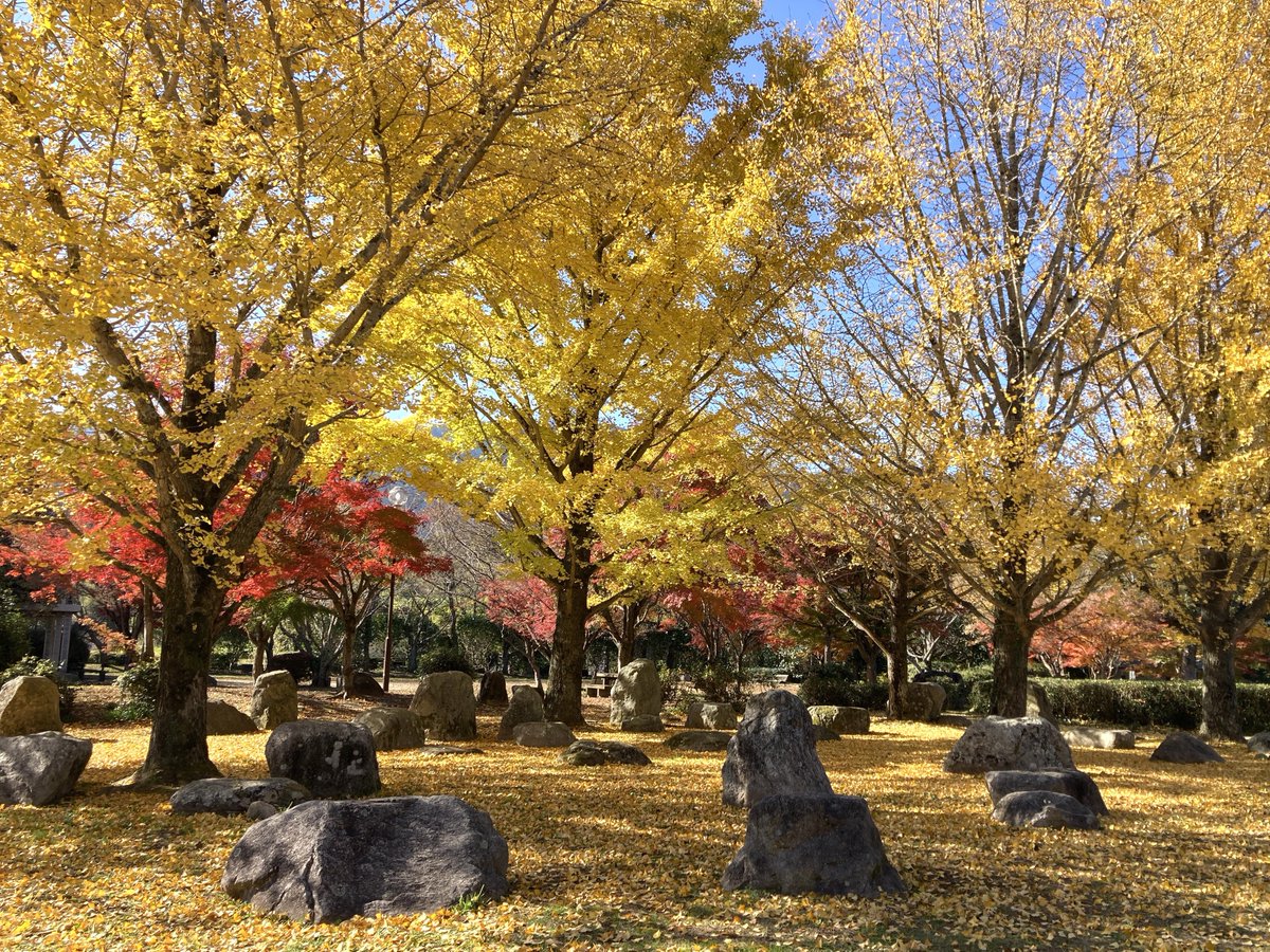 いつも脇山にお越し頂きありがとうございます。本日の脇山中央公園です🍁✨
良い週末をお過ごしください。

#早良区脇山