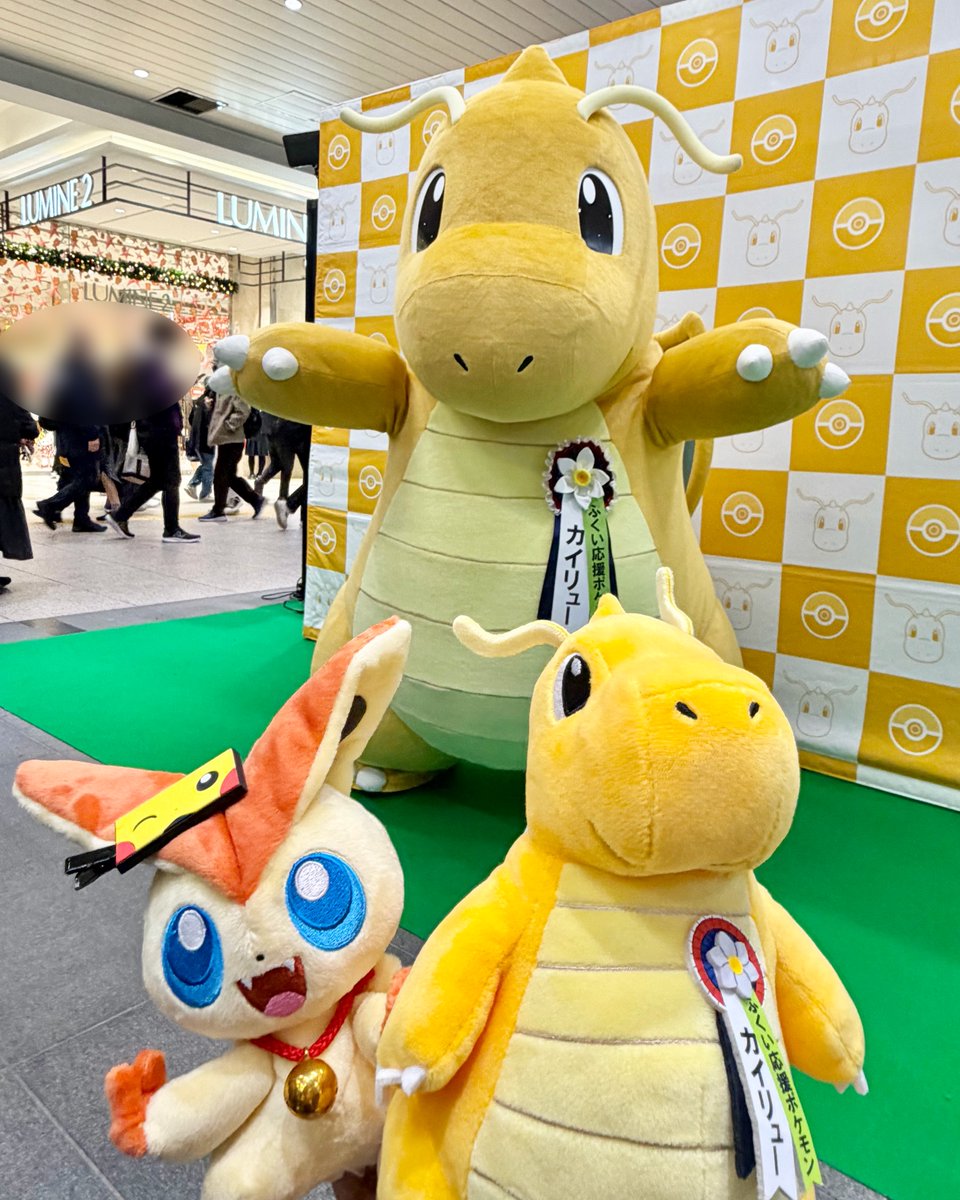 カイリュー会ったよ！