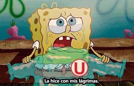 enzoUcrema's tweet image. Para ti Sebas, es triste pero es lo correcto.