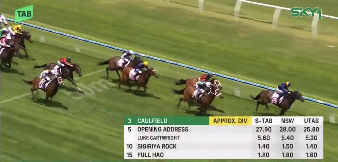 Aussie Punting Battlers tweet media