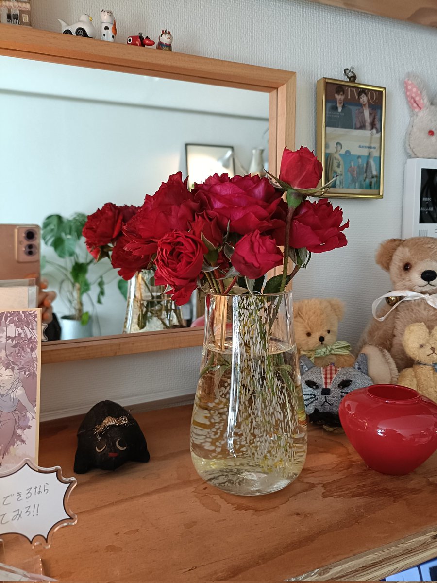 カナ子 (@nekowakame) / Posts / X