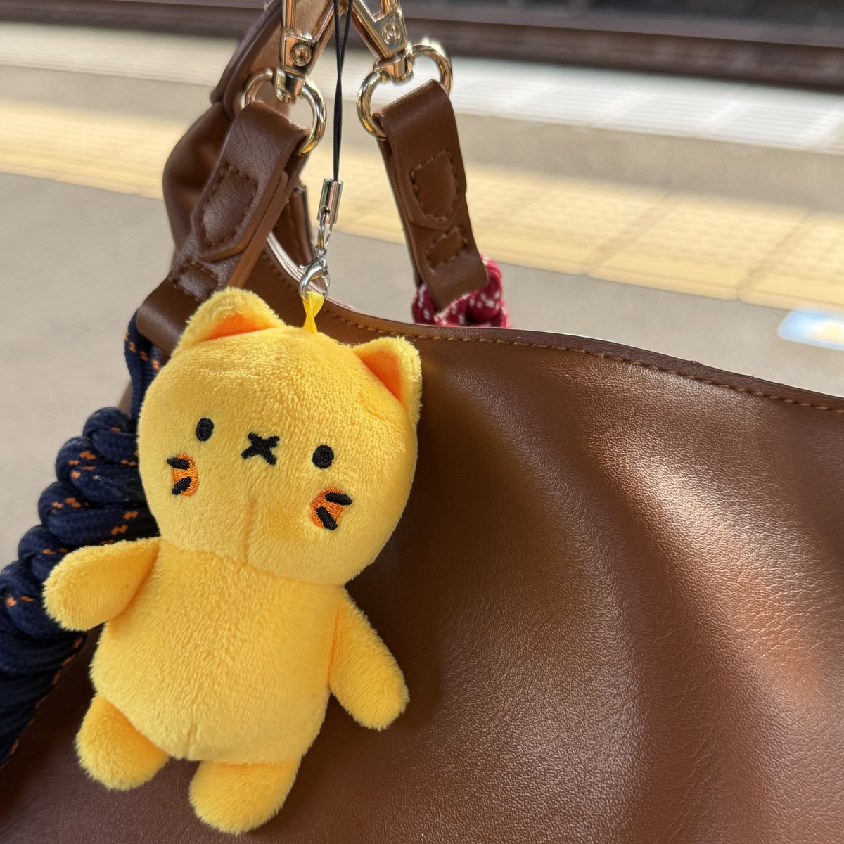 nanoha86's tweet photo. 今日も #リモにゃん とお出かけ🐾✨
1年に1度の #リモフェス 、昨日の数倍の仲間が大集合！
普段ほぼ電車に乗らないから移動だけでワクワクして、気づいたら1番前に座ってた🚃💕
パワーもらいに行きます！
ぜひ気軽に声かけてくださいね😊💛
#リモラボ https://t.co/NdEcAqfIEL