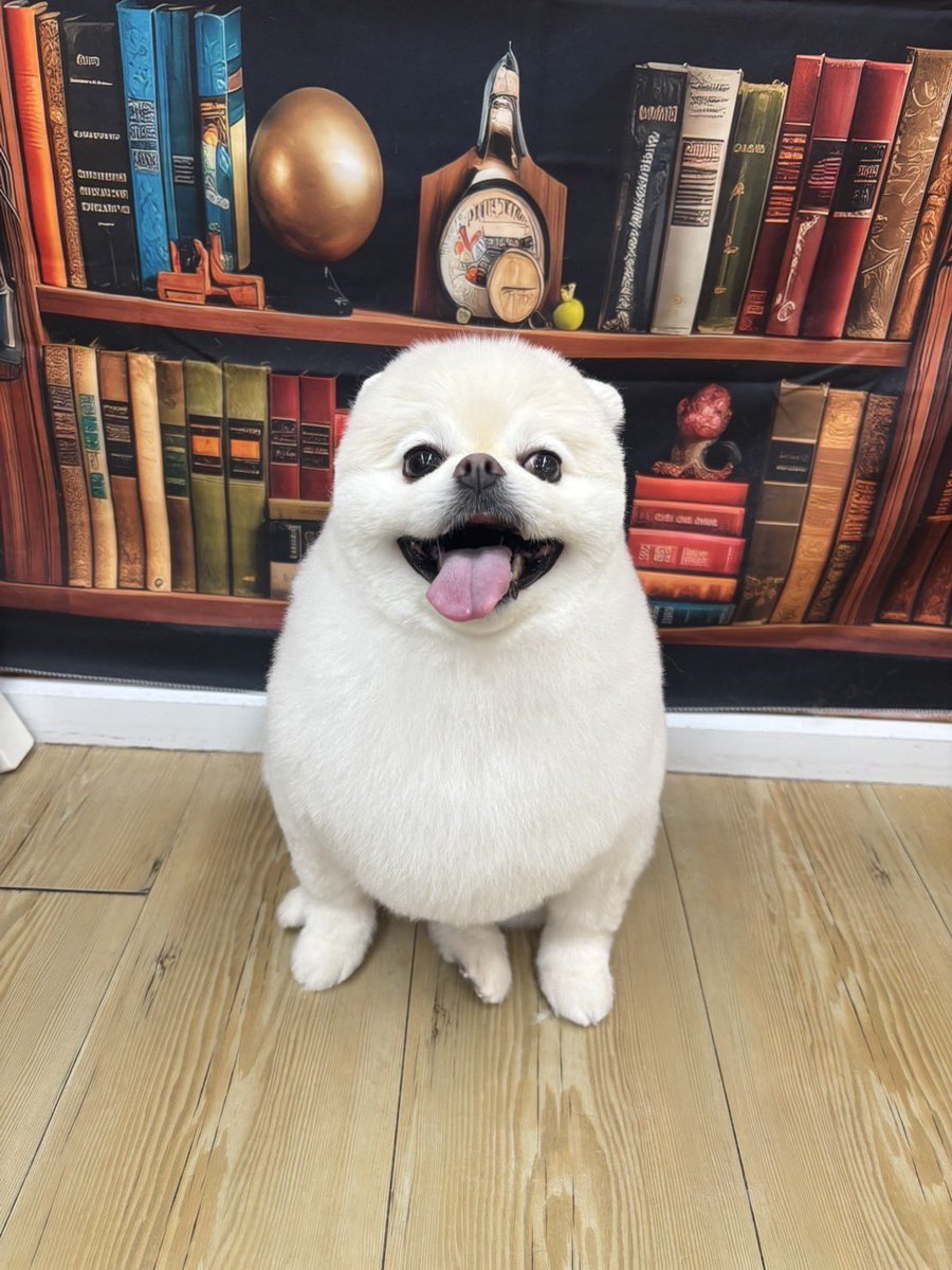 ぶ〜２@雑多 tweet media