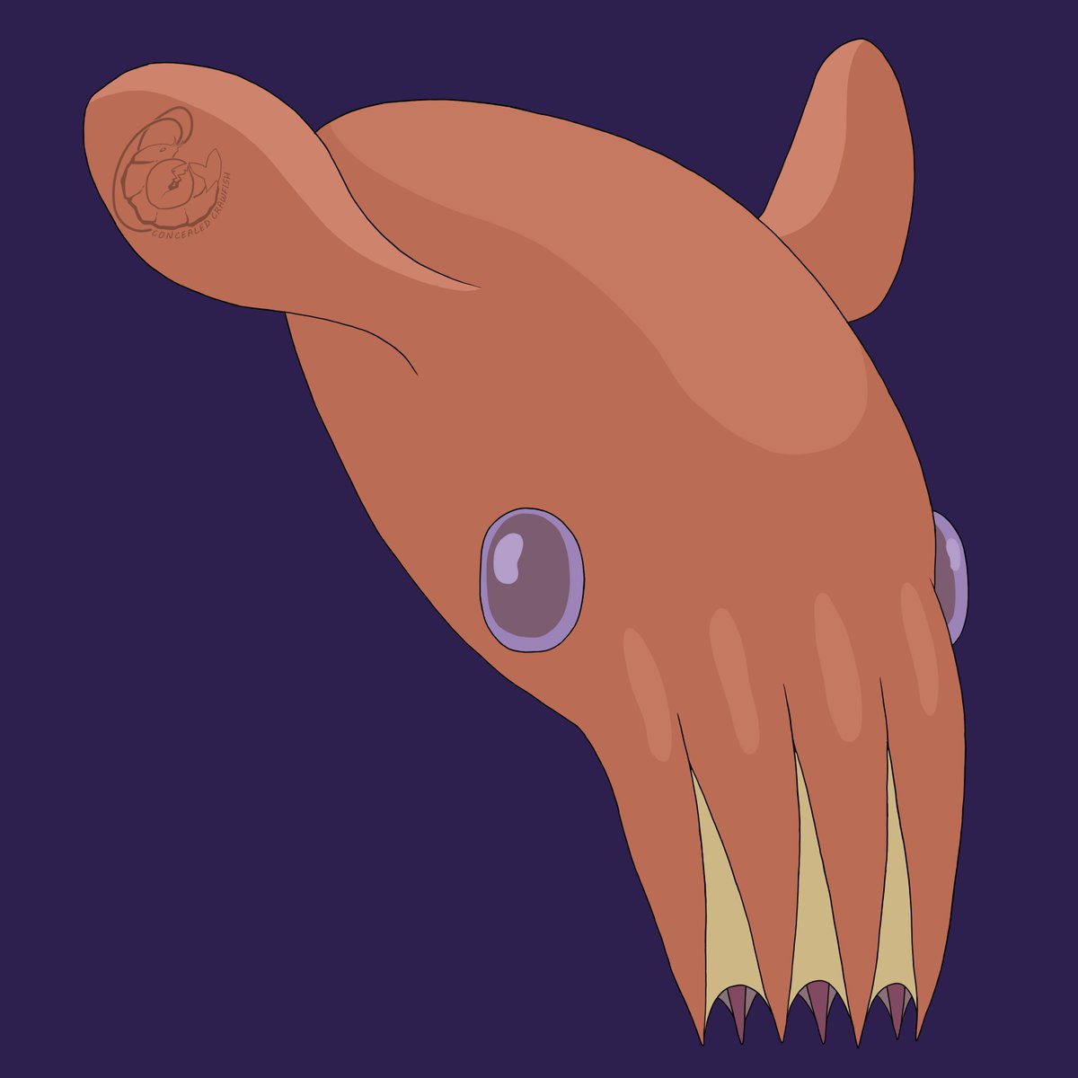 Concealcrawfish's tweet image. Vampire Squid #invertober #squid #cephalopod