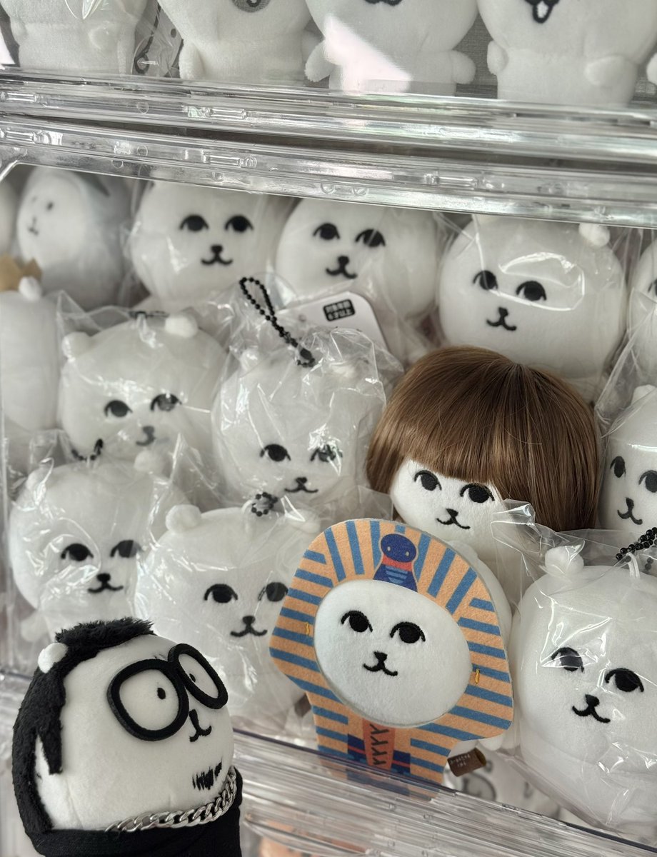 사이좋게 지내야해요🤝🏻