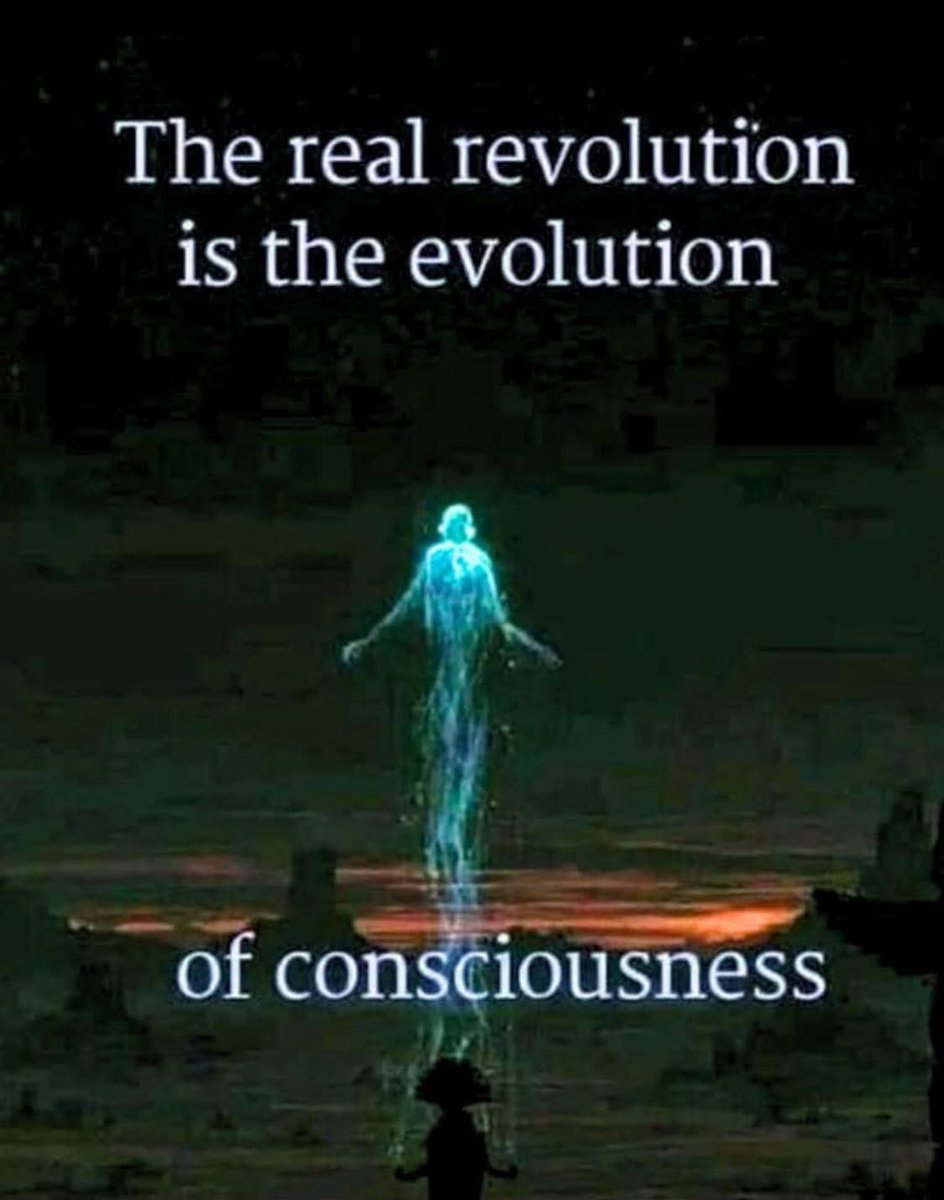 🧬Maxpein🧬 tweet media