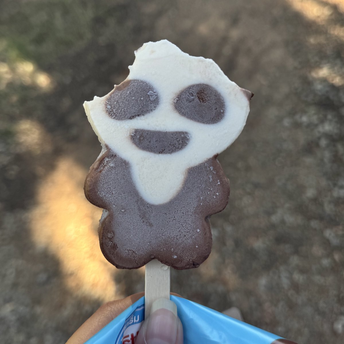 nongjakekub's tweet image. มาแล้วคร้าบ กินแล้วเรียบร้อย หมาแพนดี้ หมีแพนด้า 🫡