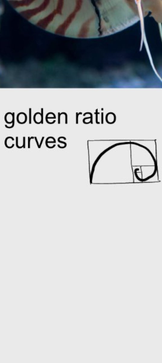 Kira King tweet media