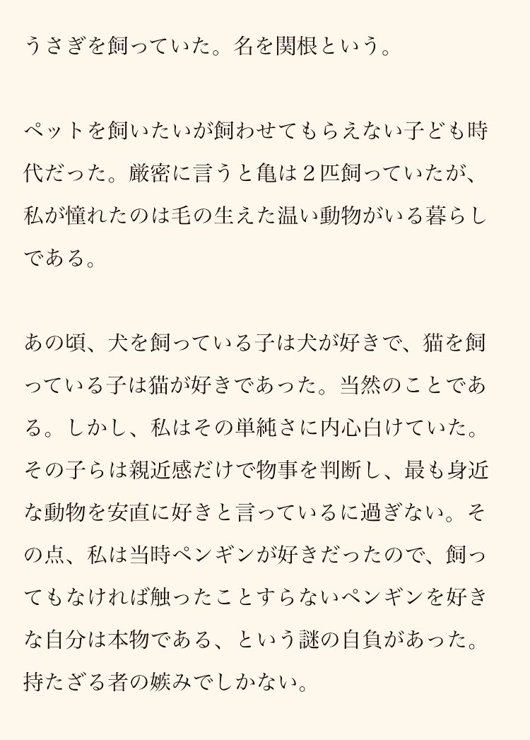 nagase_h's tweet image. 「関根」という名のうさぎを飼っていました。
名前の由来、わかりますか？

（1/4）