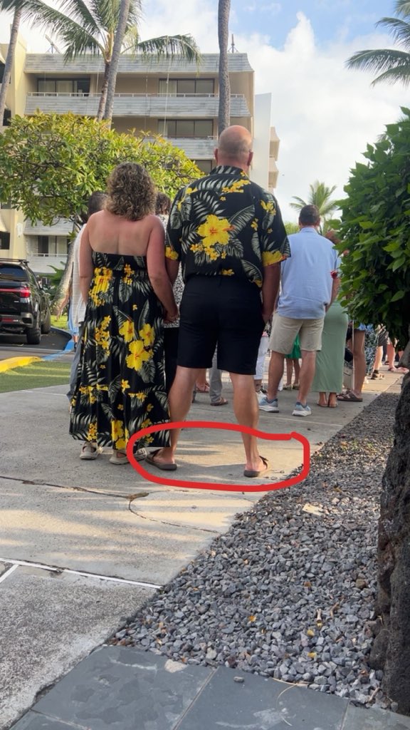 Allen Hoss tweet media