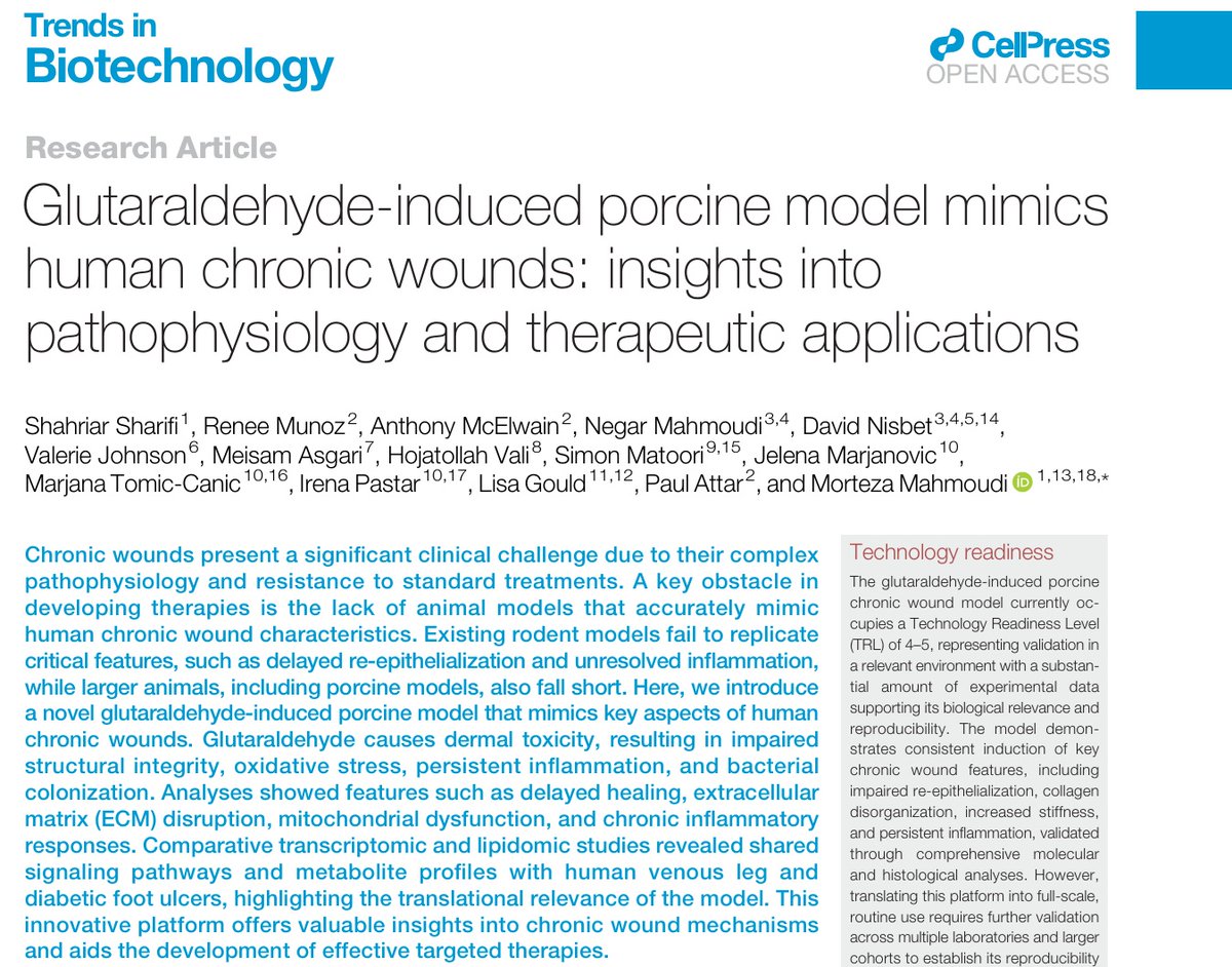 MahmoudiLab's tweet image. Introducing a new #pig model developed to closely emulate #human #chronic #wound environments
cell.com/trends/biotech…
@TrendsinBiotech @michiganstateu @MoriMahmoudi @MatooriSimon @MSUMD