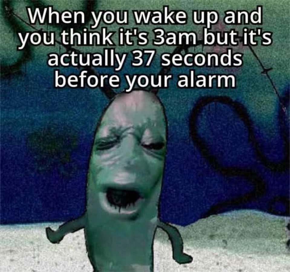 thedailymemes_'s tweet image. 