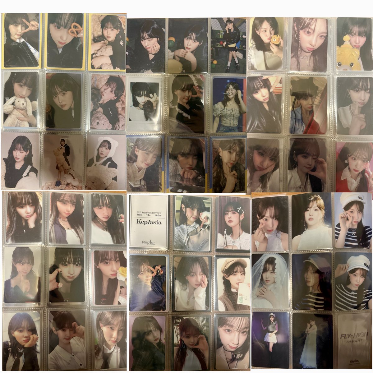 케이 tweet media