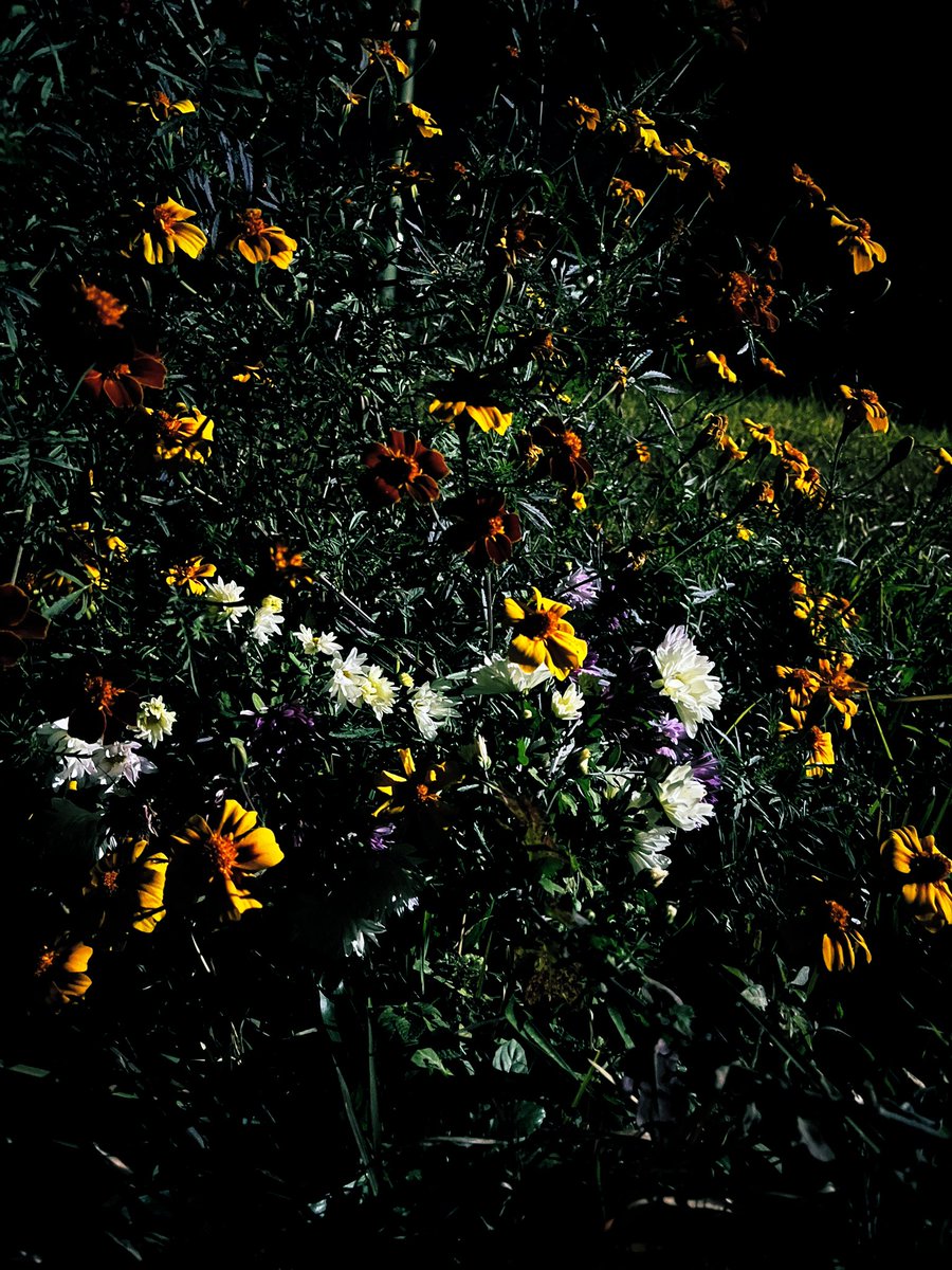 They be radiant even in the dark.✨