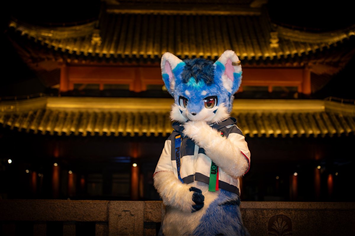 橙色噬元兽🔜Hifurry tweet media