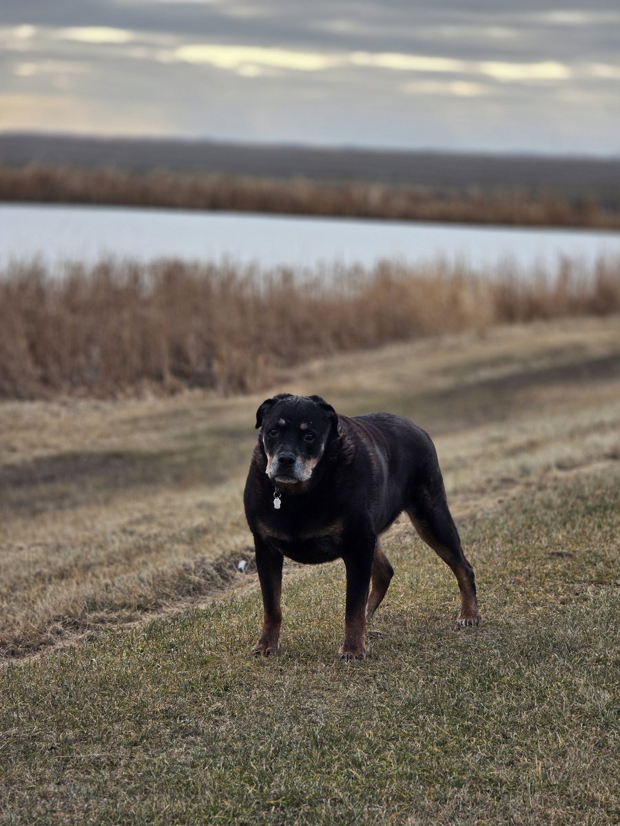 Lisa Marie tweet media