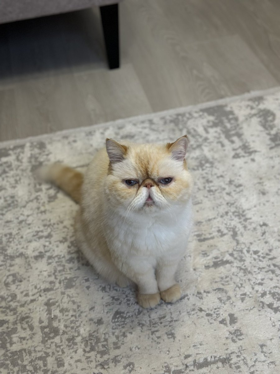 Вадим tweet media