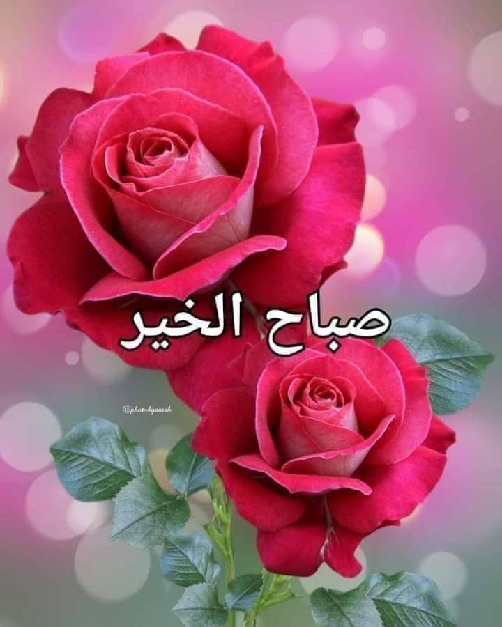 من أروع مكاسب العمر 
حينما تقف ذاكرتك بمحطات أهل وأخوة وأصدقاء أعزاء على قلبك..
 وتكتشف يوما بعد يوم أنهم كنوز تبقيهم في رصيد حياتك
فتأنس بهم وتسأل الله صادقاً أن يسعدهم ويحفظهم 
فالرصيد ليس فقط مال تودعه لوقت الحاجة
وإنما قلوب طاهرة تدعو لك في ظهر الغيب في حلك و ترحالك
صباح 🌹🌹