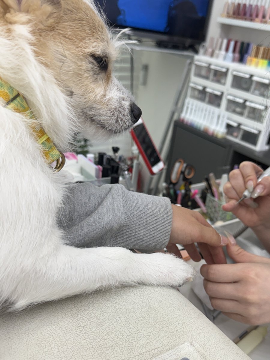 내 손도 함 해봐라