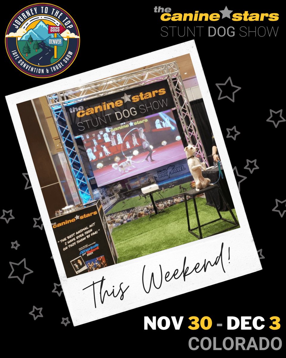 The Canine Stars tweet media