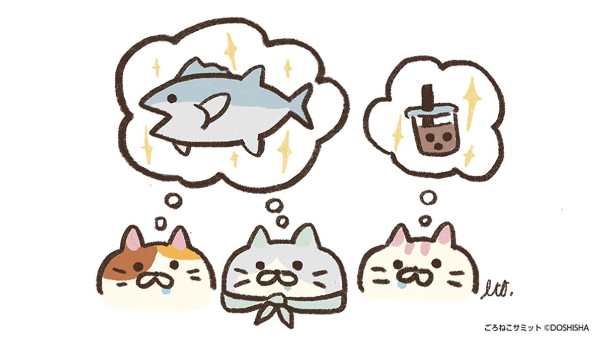 ごろねこサミット イトウ【公式】 (@goroneco_samit) / Posts / X