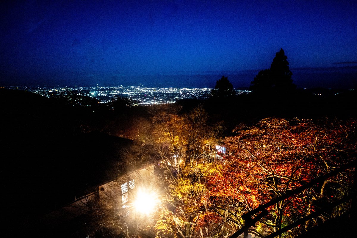 tfk6502's tweet image. 伊勢原 大山紅葉  2022/11

昼には 遠くに江ノ島が見えた