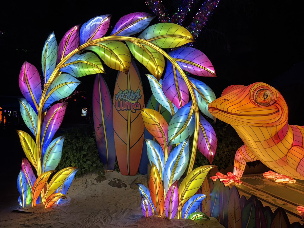 ThatJakeKid91's tweet image. Overall, I found Illuminate to be worth what I paid. The photos do kind of undersell it. There were interactive elements, like wish in a bottle, Santa meet and greet, S’mores, Candy Cane area had guest acts caged triggers, etc.

I think this is a fun event, and worth visiting.