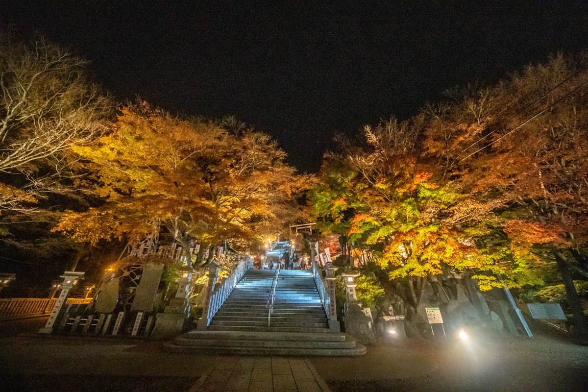 tfk6502's tweet image. 伊勢原 大山紅葉  2022/11

昼には 遠くに江ノ島が見えた