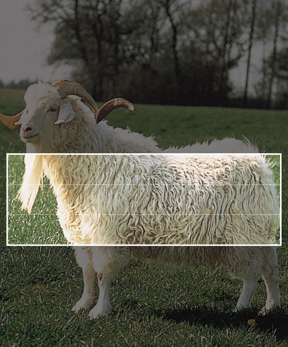 TrybeCityJobs's tweet image. how do I fit this in my header?